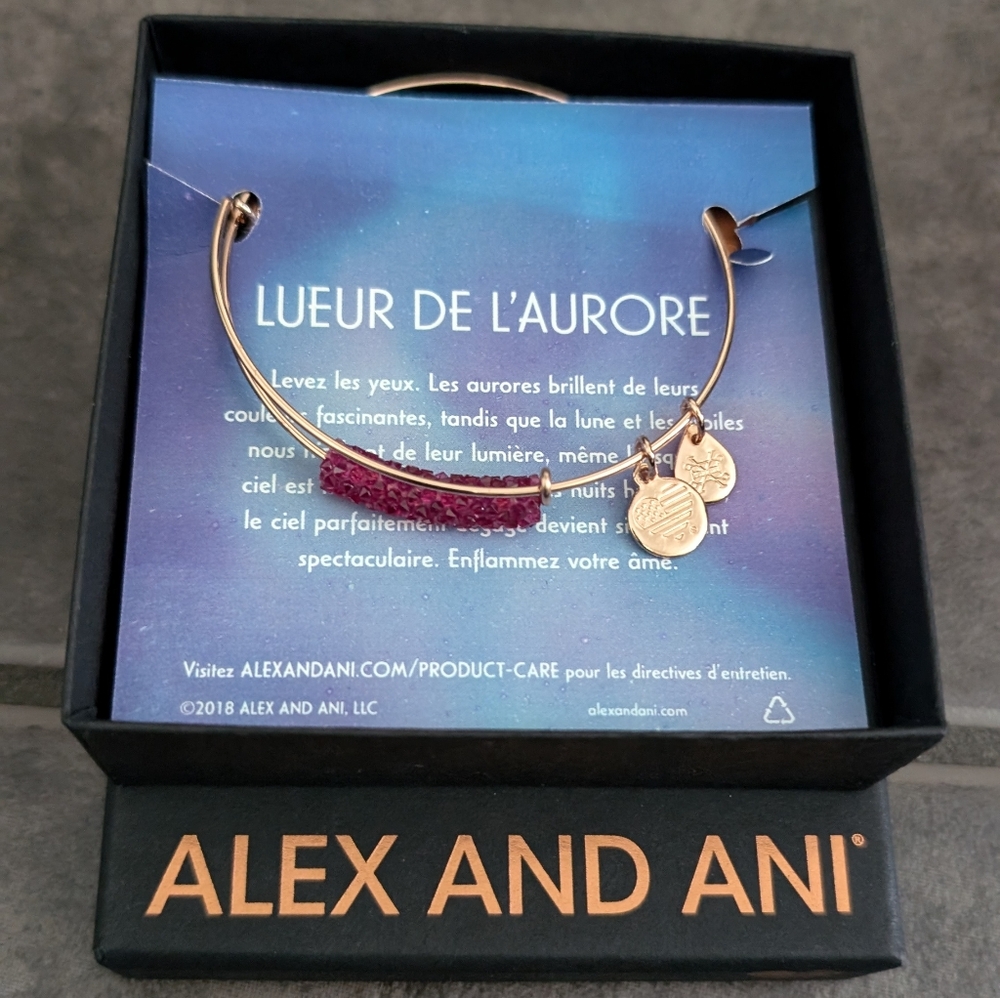3/$30 Alex and Ani bracelet